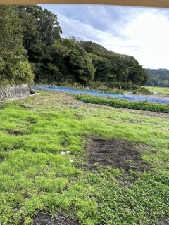 田んぼ作業 1日目